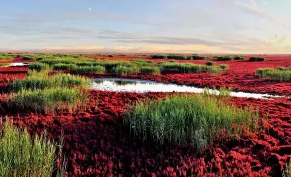 “印象辽宁梦想中国”暑期实践专项活动盘锦出征