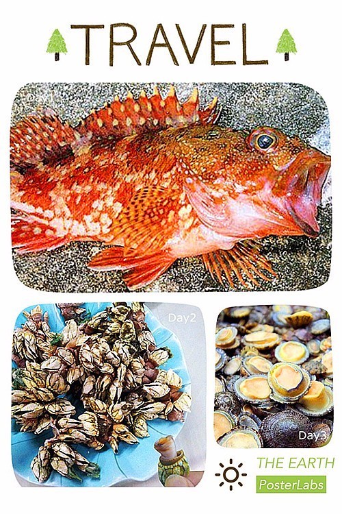 东澳岛免费钓点,东澳岛钓点攻略