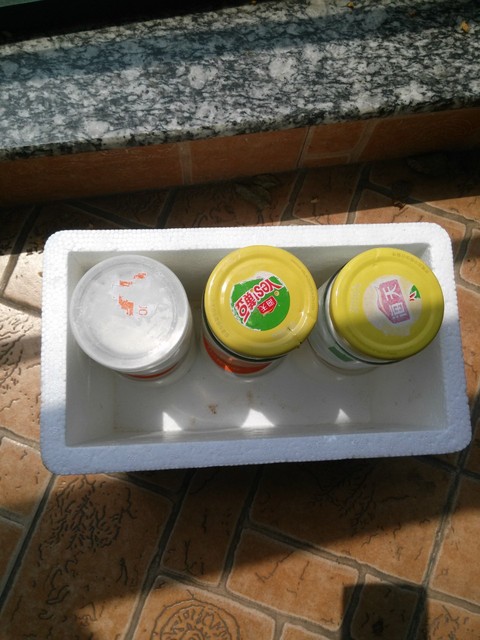 不用烤箱也可以做的酸奶食品,在家制作酸奶可以不用放微波炉吗