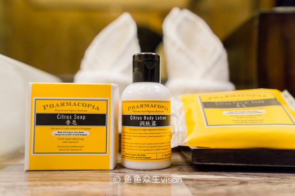 来到十三朝古都,来到十三朝古都西安