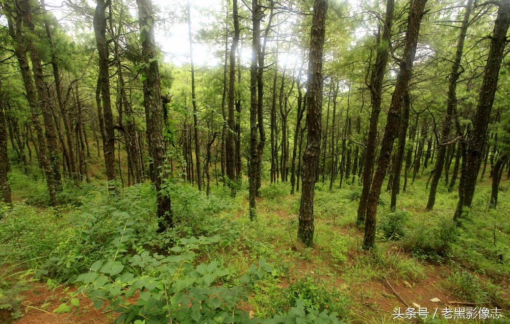 苍山西坡莲花峰,大理苍山秘境在哪里