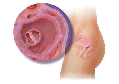 惊奇宝宝第一季,怀孕过程中的十大惊奇发现