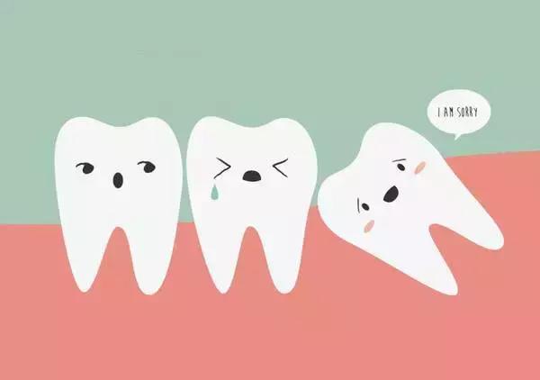 牙齿矫正是拔牙多好还是少好,为什么牙齿矫正一般都要拔牙