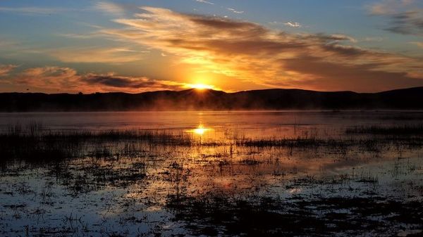 承德塞罕坝国家森林公园雾凇,承德塞罕坝公园