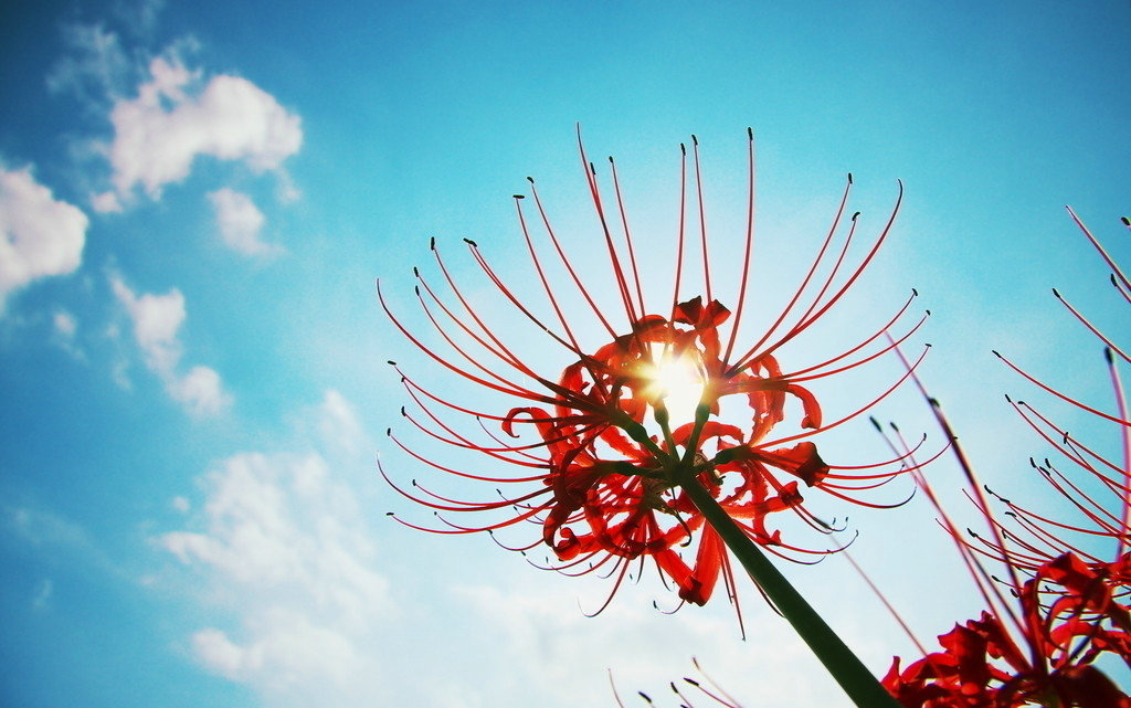 火灾后遗症解决方案,火灾后遗症怎么治疗