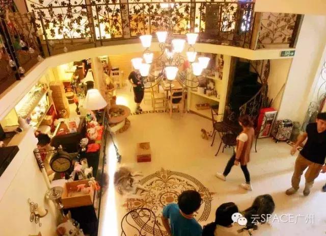 喵星人咖啡厅，治愈你疲惫的心！