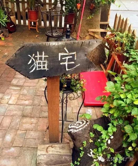 喵星人咖啡厅，治愈你疲惫的心！