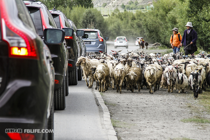 沃尔沃xc60试驾视频2020第一视角,2023款沃尔沃xc60高原试驾