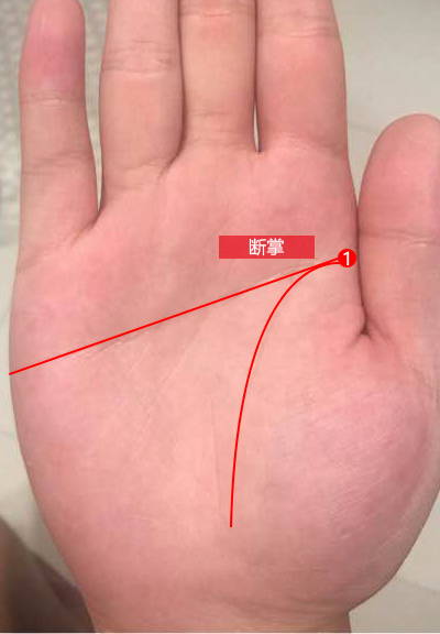 真断掌和假断掌女性哪个命好,女性右手断掌克夫吗