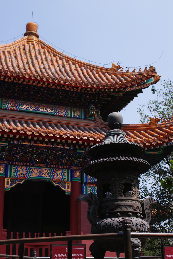 适马sdquattroh值不值得入手,适马sdquattroh配镜头