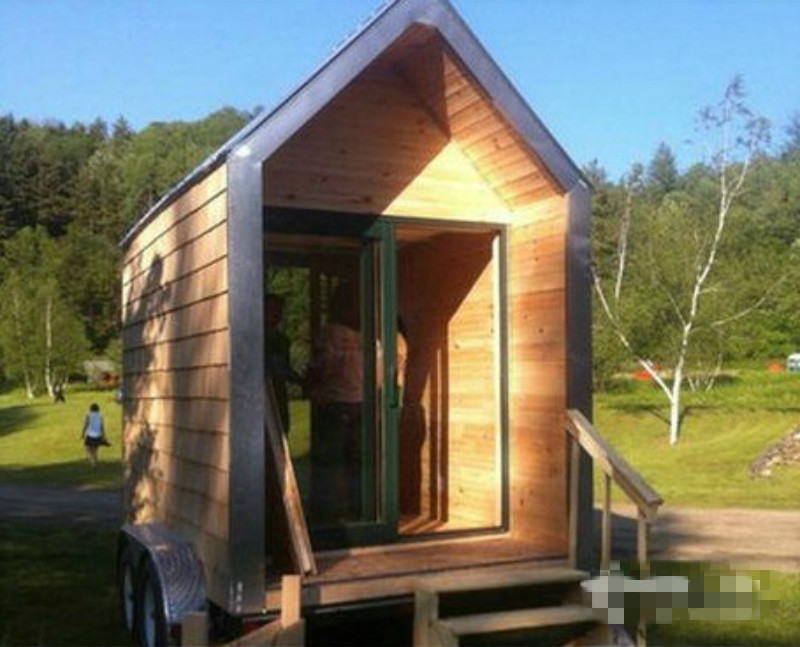 这些真菌蘑菇的用途，也许能给你创富、挣钱的灵感。