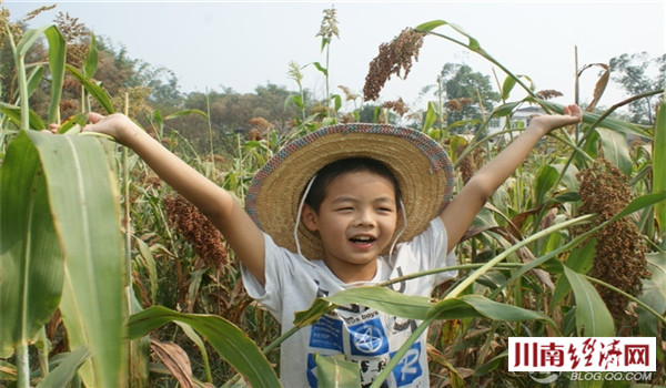 泸州人家红高粱,泸州红高粱38度价格