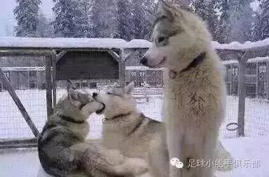 巴西vs韩国内马尔被犯规,巴西国奥战胜德国国奥