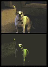 七夕礼物风油精,什么七夕不七夕素材