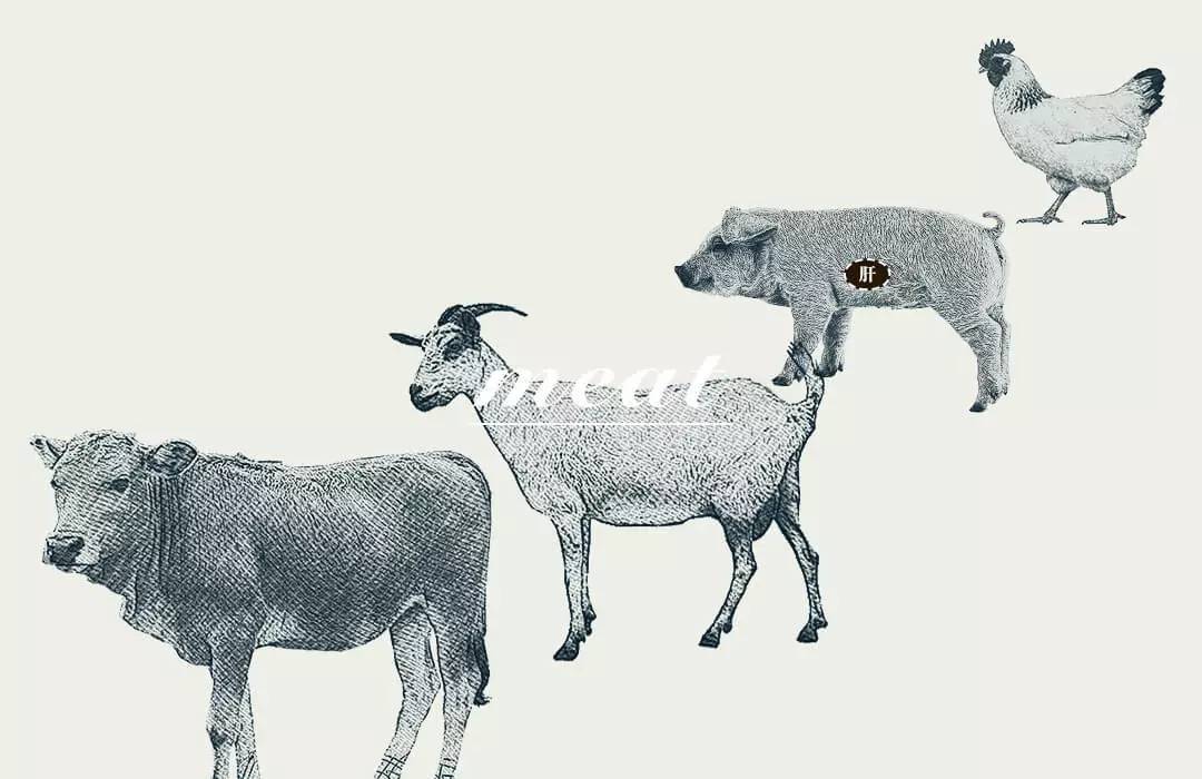 明日大寒吃什么菜好,明日大寒食谱一览表