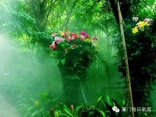 厦门最凉快的景点,厦门岛内适合烧烤的地方