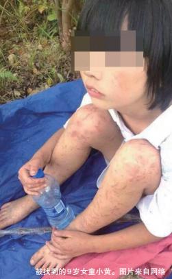 2022年温网新闻,温网新闻2017