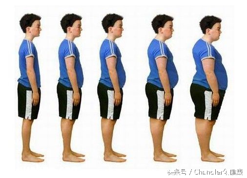 脂肪肝患者一日三餐具体膳食菜单,儿童脂肪肝护肝吃什么药