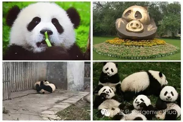 这个暑假值得带孩子去的地方,假期孩子最适合去的地方