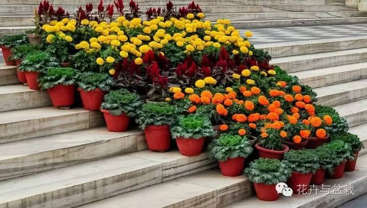 走到哪都是风景视频,走到哪里都是美景