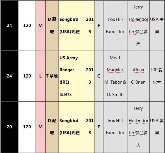 世界马匹最新排名出炉,“荣进之光”三度蝉联榜首