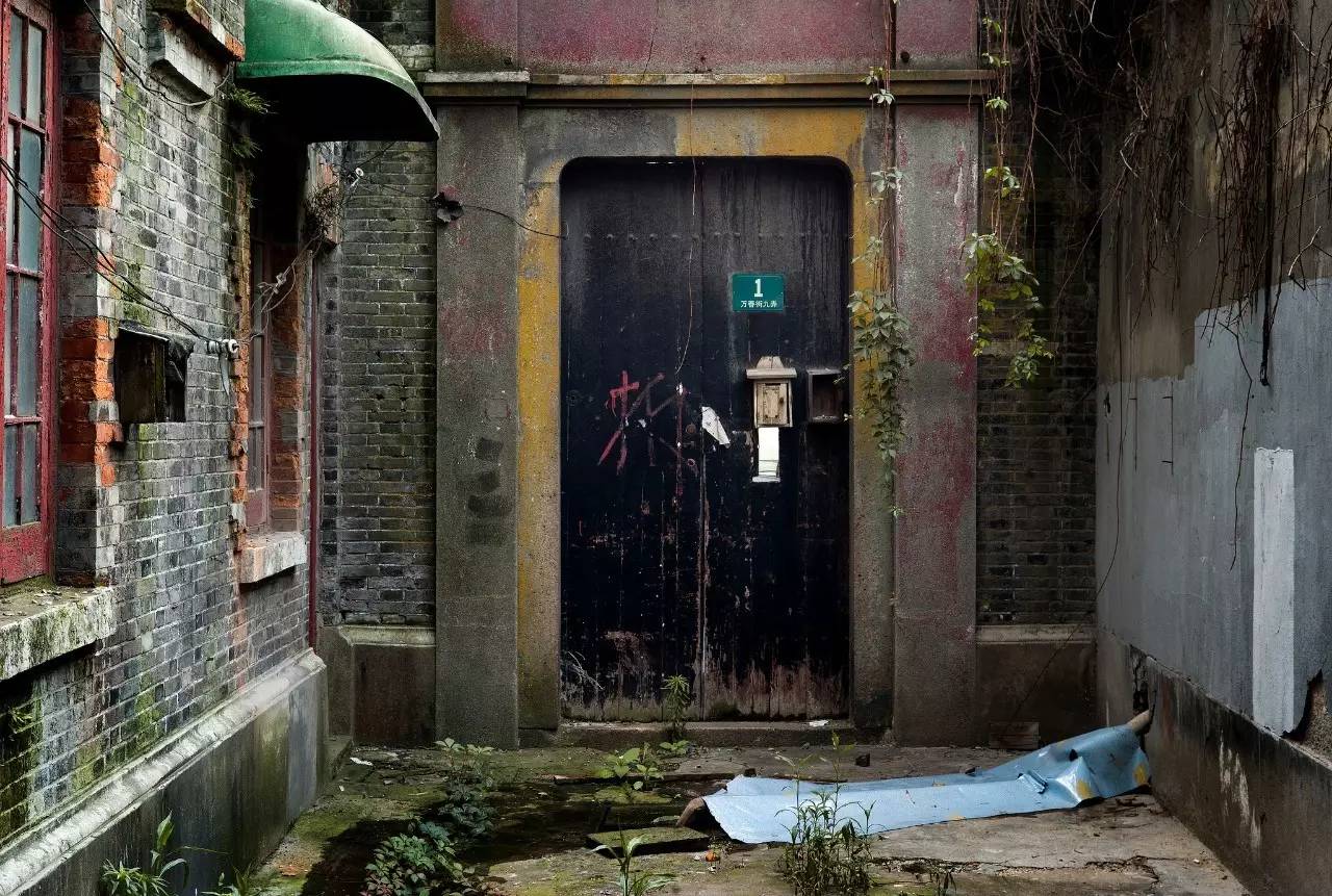 立秋系列|隔壁老王