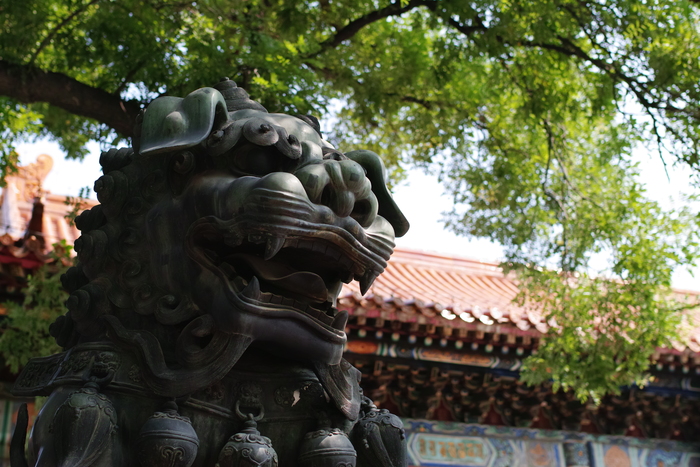 适马sdquattroh值不值得入手,适马sdquattroh配镜头