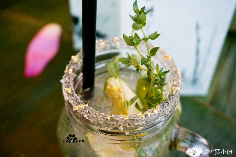 一晴方觉夏深，赴一场蘑菇的饕餮盛宴