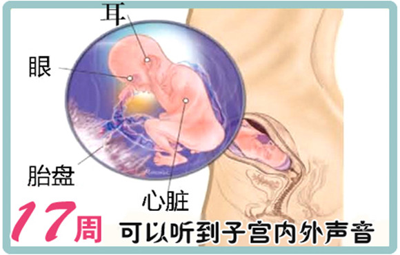 怀孕17周后应注意什么,17周要注意什么