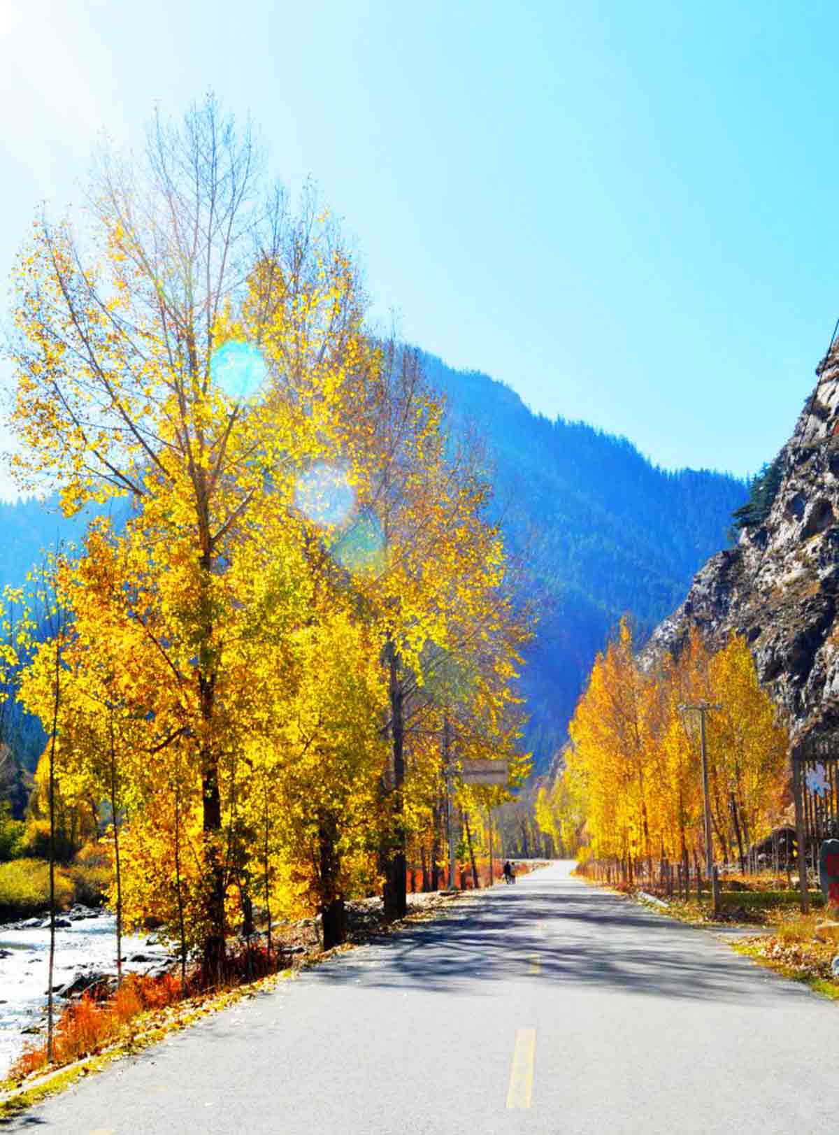 北山林场公园,北山森林植物园