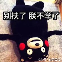 说说你们学车时候遇到奇葩的事吗,说说大家学车的那些事