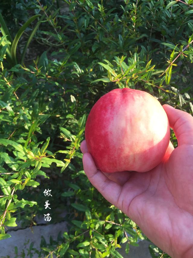 洗桃子去毛的方法,如何清洗桃子毛