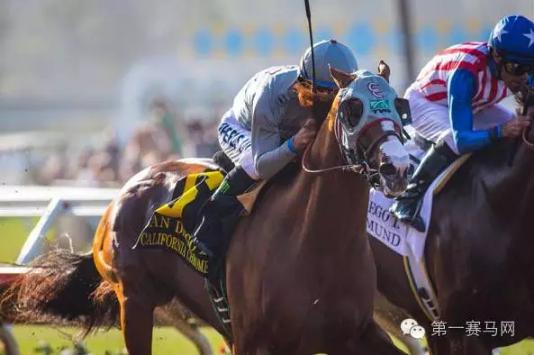 世界马匹最新排名出炉,“荣进之光”三度蝉联榜首