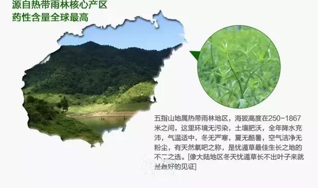 海南特产椰奶清补凉12罐86元包邮 (淘宝上的海南特产比实体店便宜)