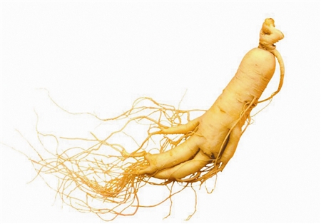 男人早泻偏方,怎样治阳痿早泄