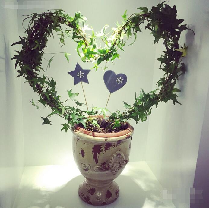 最爱文艺范|郑州最文艺的10家花店