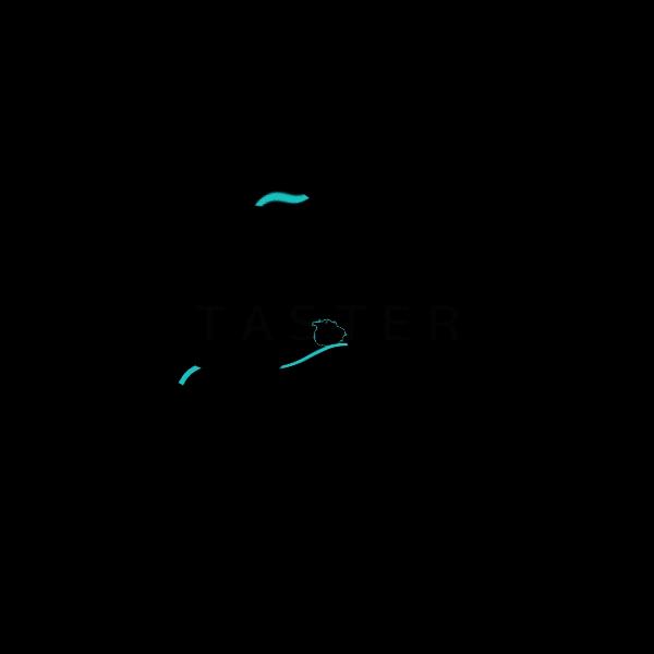 堆糖APP电脑版有吗,和堆糖类似的app还有哪些