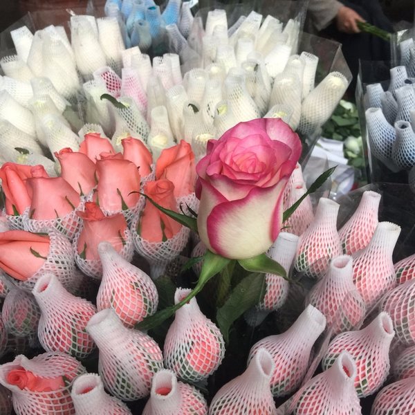 云南红河哈尼族彝族自治州美食,云南红河哈尼族彝族自治州小吃