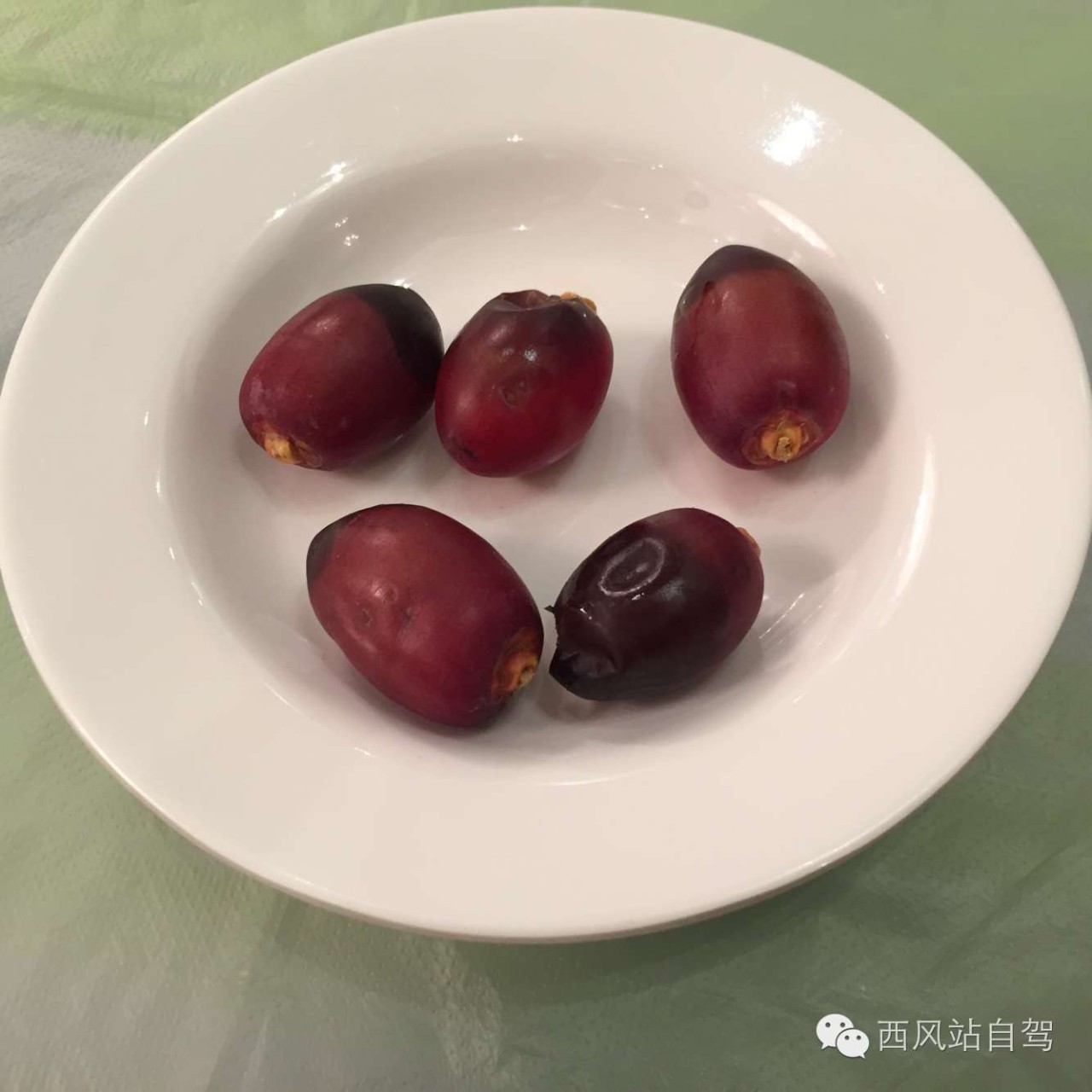 巴林|别只知道迪拜，海湾土豪圈居然藏着个小清新岛国！