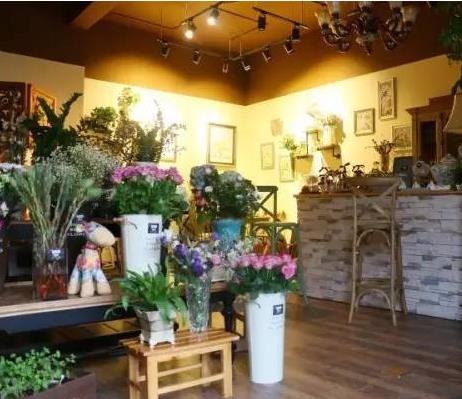 最爱文艺范|郑州最文艺的10家花店
