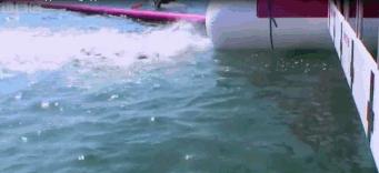 吃瓜群众来了完整视频,吃瓜群众来吃瓜