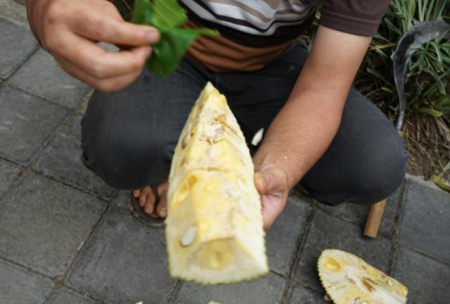 268元可以在巴厘岛landih买多少真正的猫屎咖啡豆？