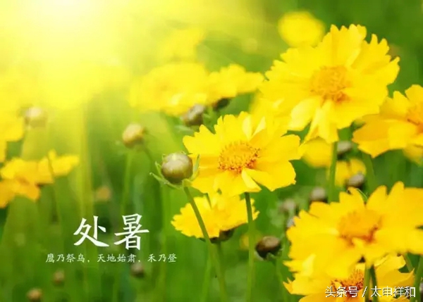 暑去寒来处暑之际话养生,处暑养生食谱营养早餐简单