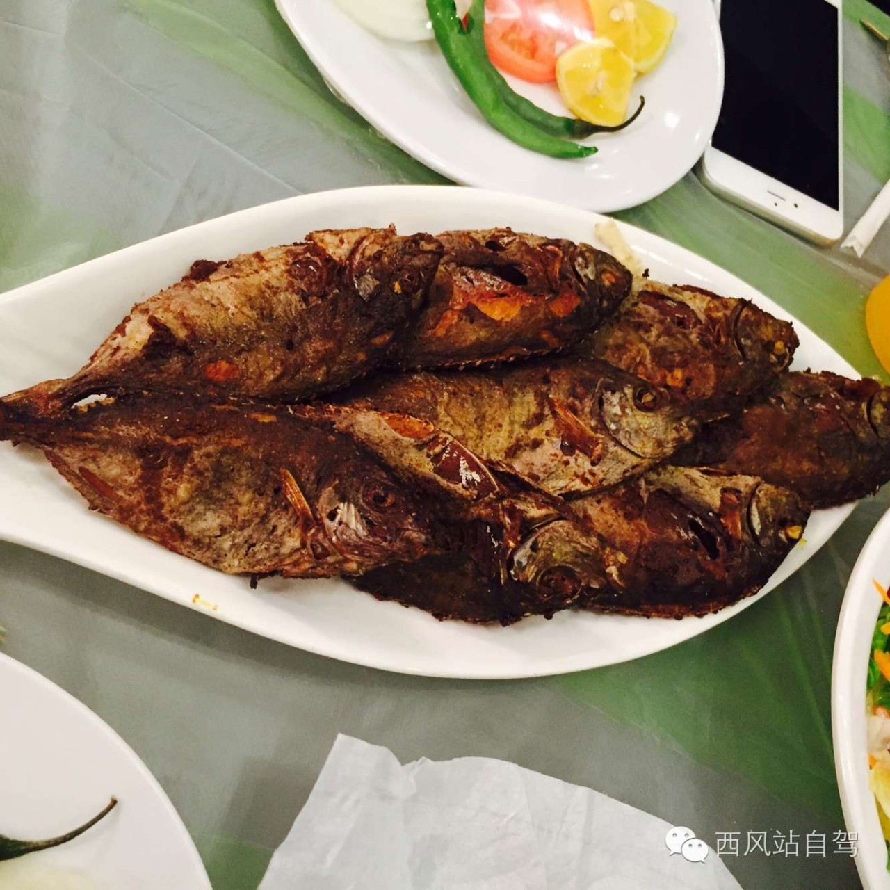 巴林|别只知道迪拜，海湾土豪圈居然藏着个小清新岛国！