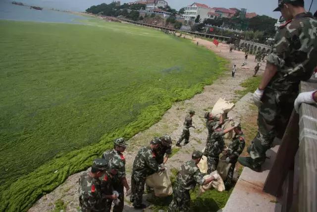 洪荒之力源自何处,洪荒之力所代表的含义