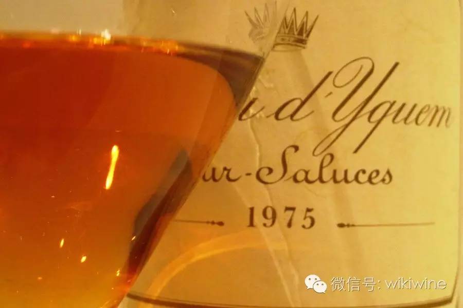 新手喝葡萄酒怎么喝,新手葡萄酒知识培训