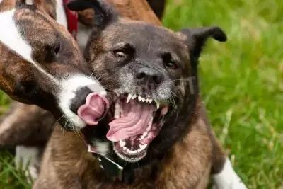 王宝强婚变给我们的启迪