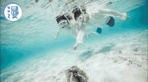 全智贤李敏镐蓝色商场购物,李敏镐全智贤倾情演出