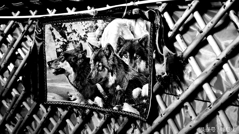 荣耀畅玩5a最大亮点,荣耀畅玩5a自带功能