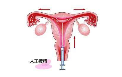 涨姿势在线观看,涨姿势视频